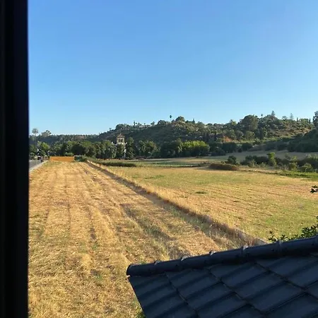 Paz Y Tranquilidad, A Un Paso De Sevilla
